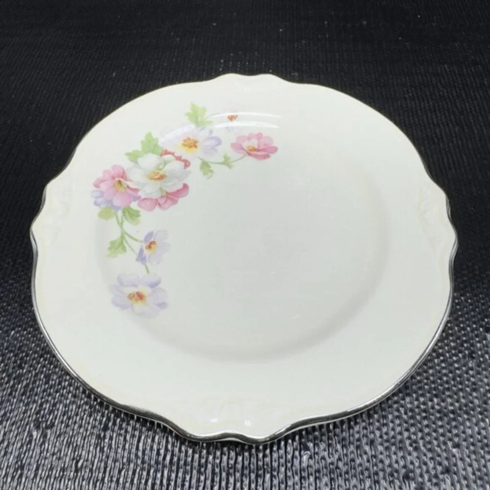 Homer Laughlin Virginia Rose Platinum Trim USA Rose Floral 6inch Plate Dish Set3